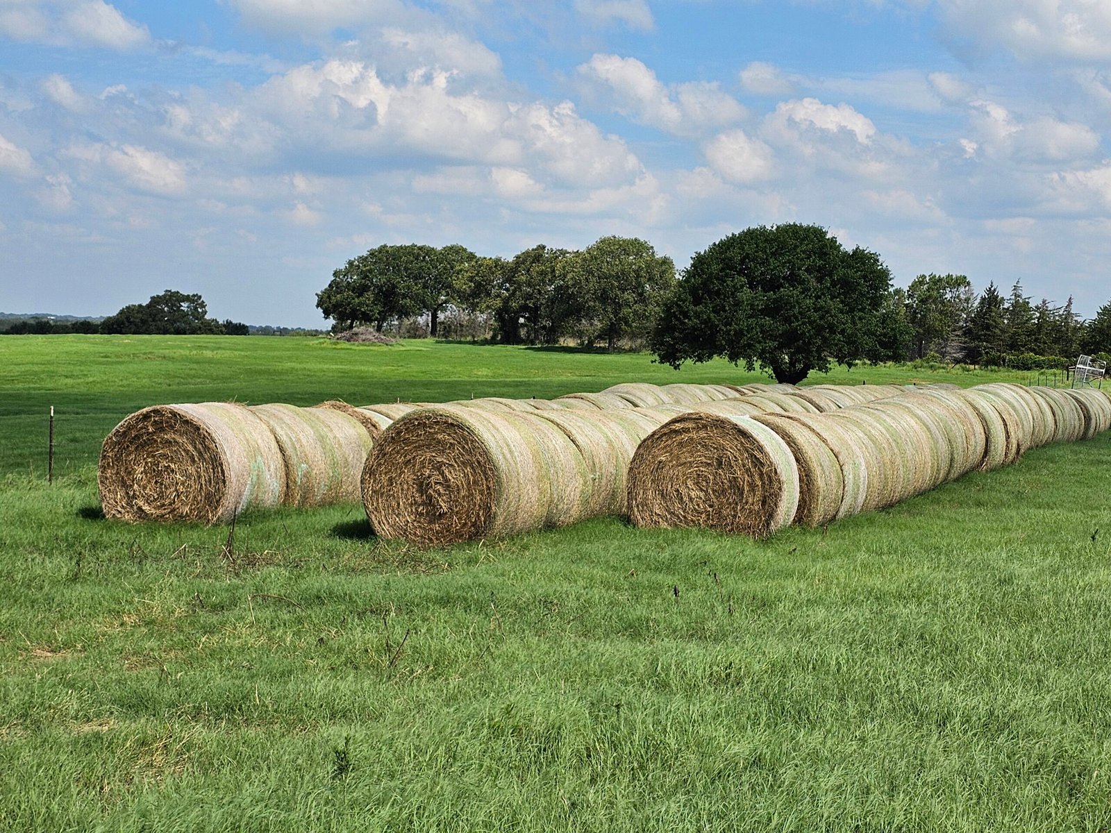 20240615 105656 Scaled