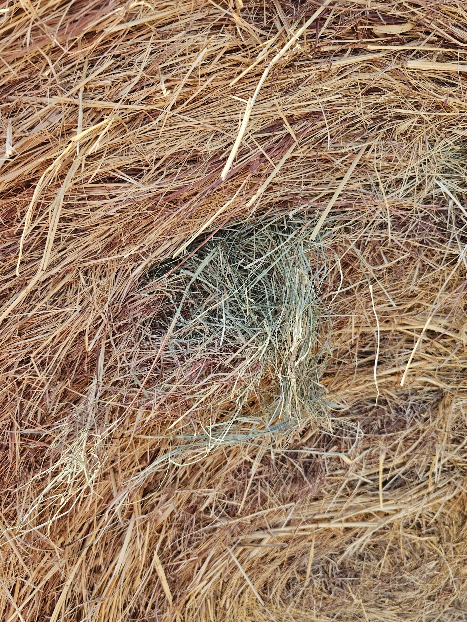 20250822 165719 Scaled